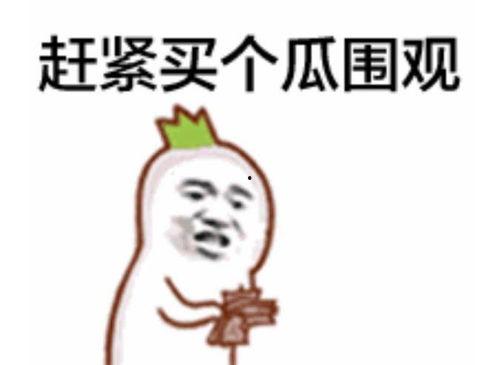 吃瓜群众鲁小磊视频全集,揭秘娱乐圈幕后真相