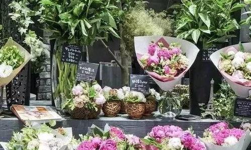 白沟花店吃瓜视频大全集,揭秘花店里的欢乐时光