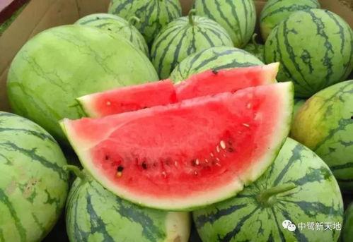 网上吃瓜视频如何找视频源头,追踪源头，还原事件真相