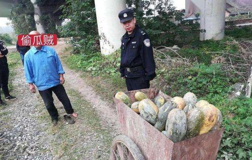 康县女子吃瓜事件真相视频