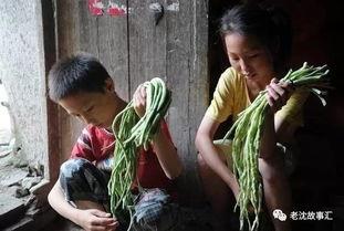 广河县姐弟吃瓜事件视频